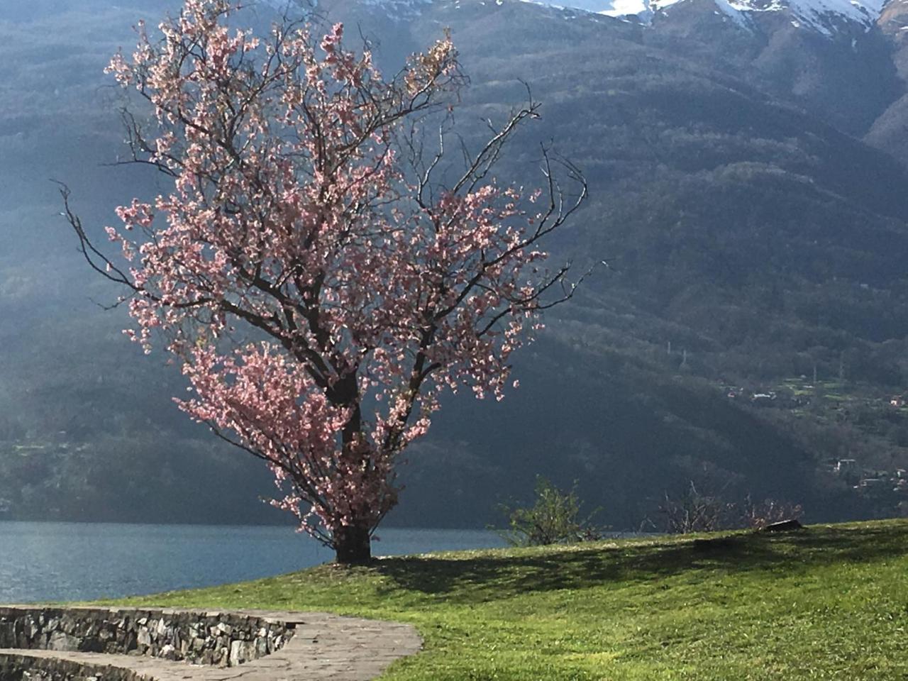Riflessi Di Lago Dorio Dış mekan fotoğraf